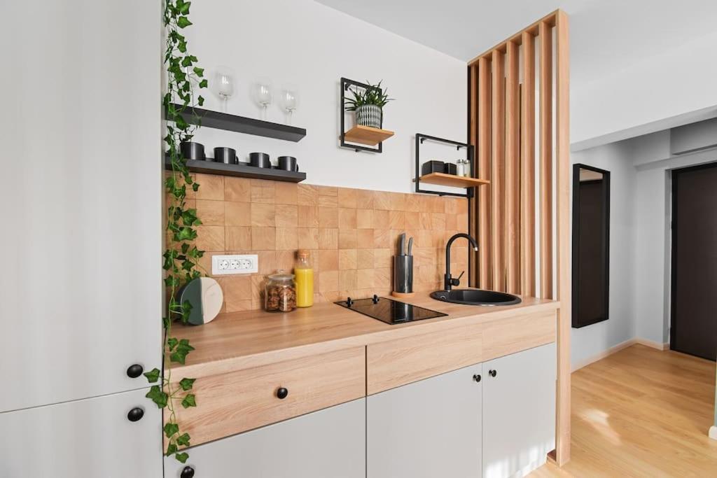 Mysa Modern Studio * Near Cismigiu Park * Netflix Бухарест Экстерьер фото